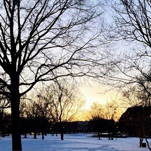 Meet your Posher, Yam